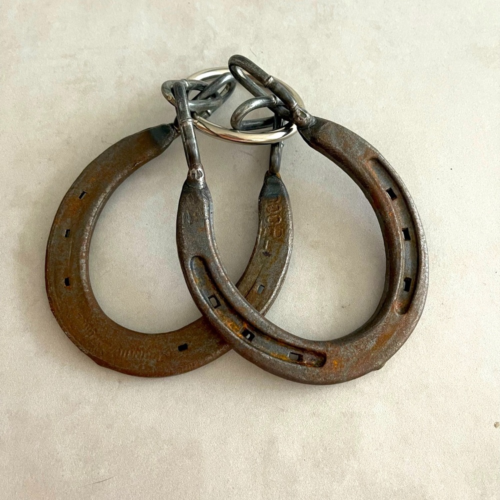 Horse Shoe Puzzle Game.